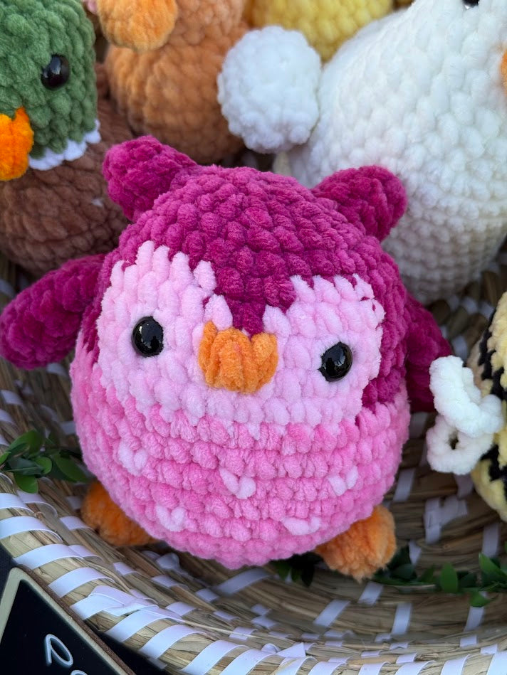 Chouette 🦉