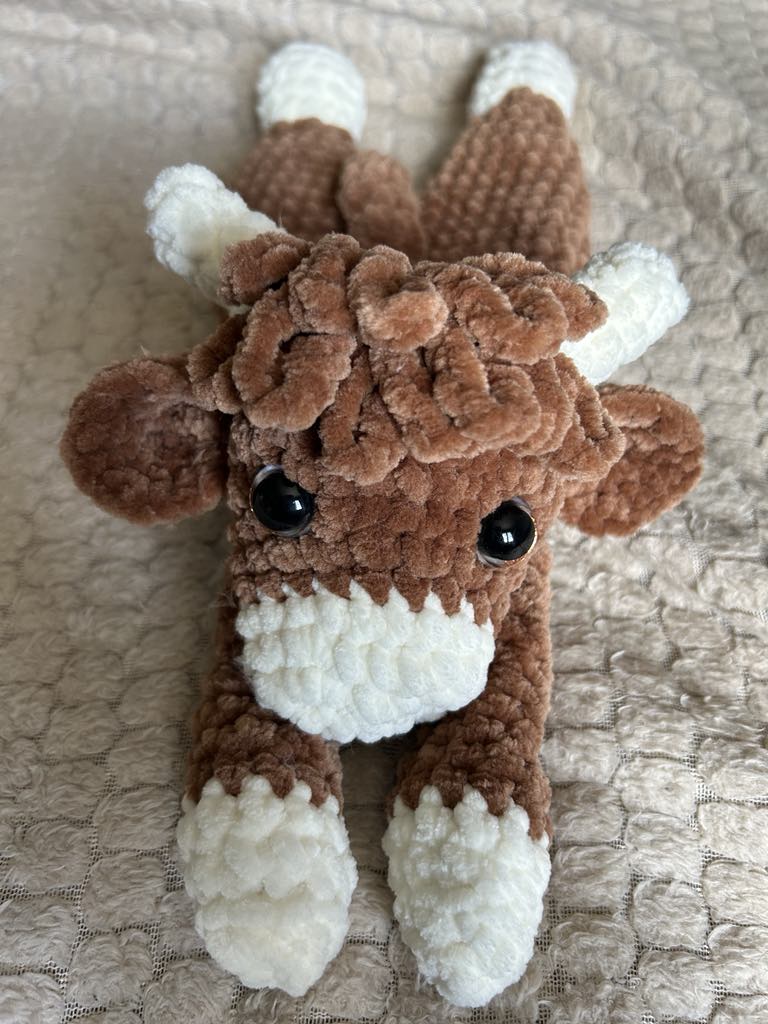 Vache Highland 🐮