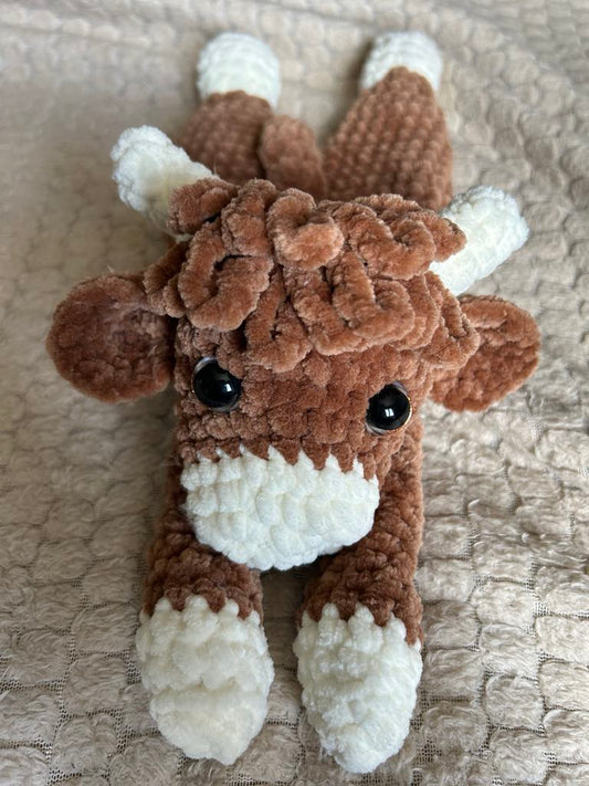 Vache Highland 🐮
