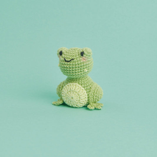 Kit de crochet Ricorumi Mini Easy - Grenouille