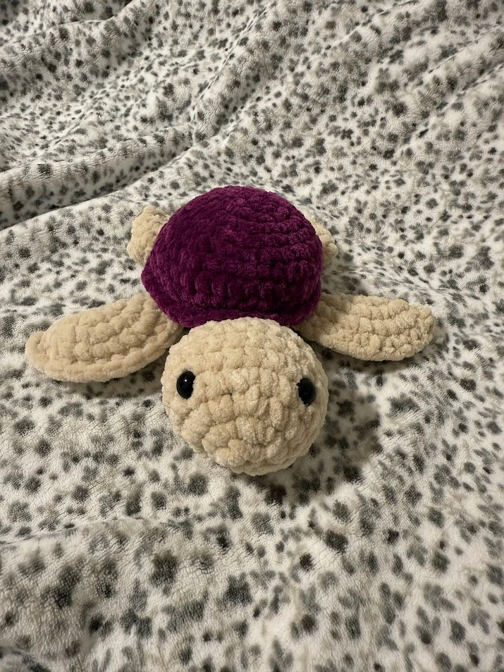 Tortue 🐢