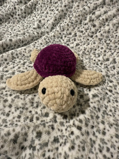 Tortue 🐢