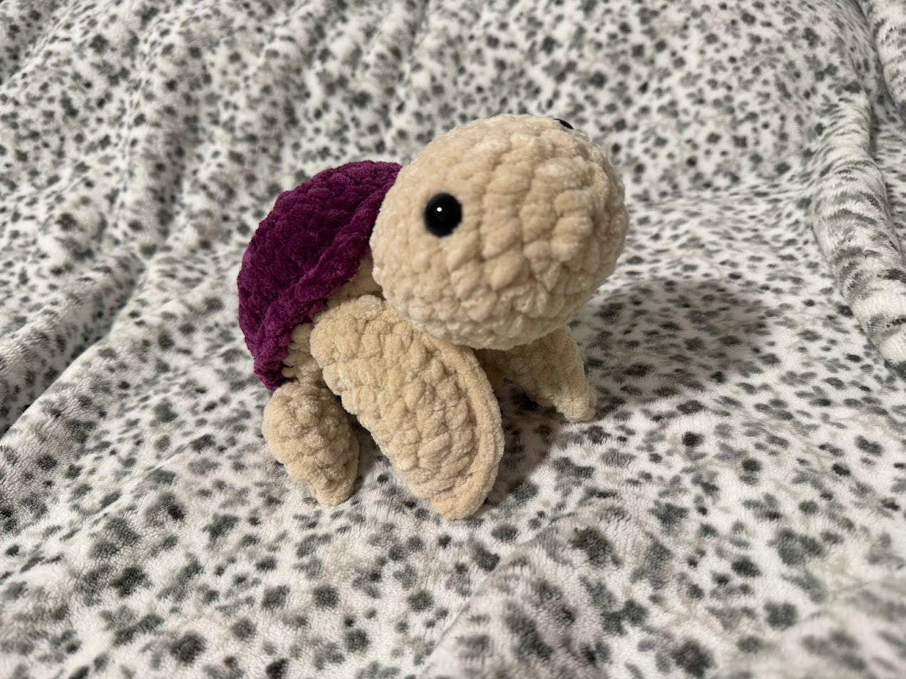 Tortue 🐢