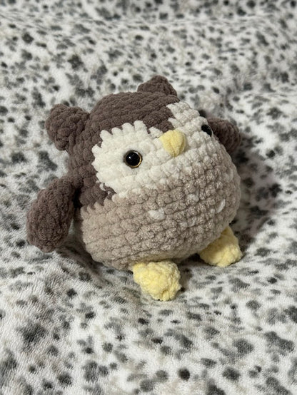 Chouette 🦉