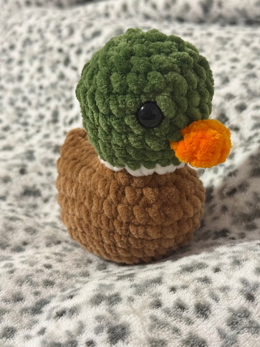 Canard 🦆