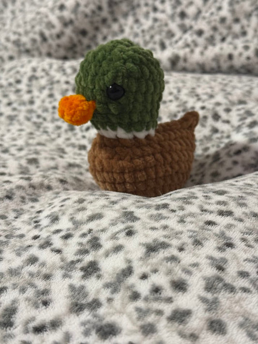 Canard 🦆