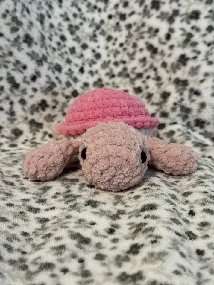 Tortue 🐢