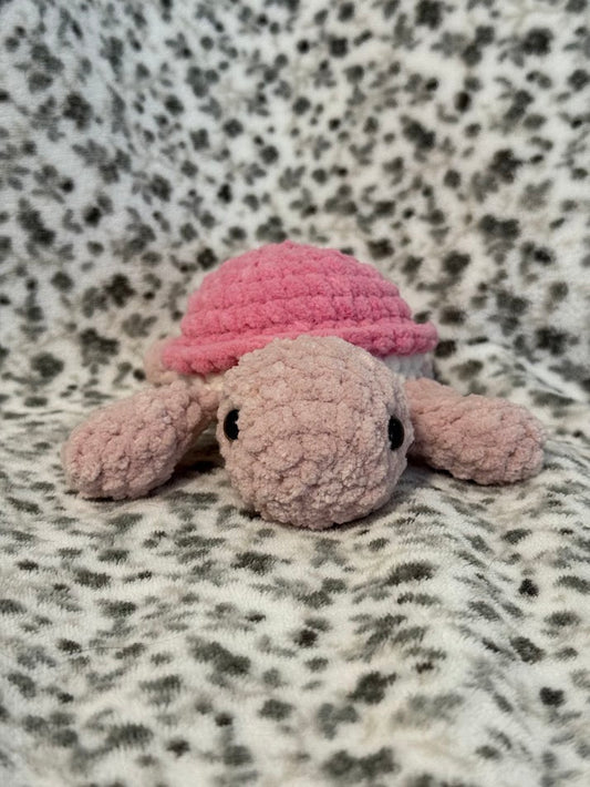 Tortue 🐢