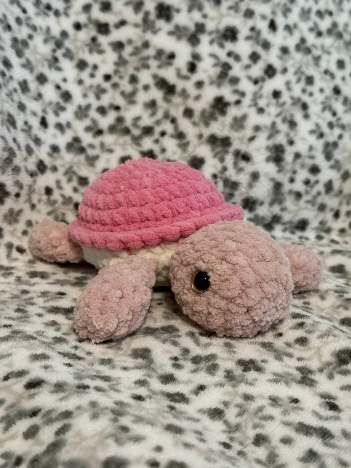 Tortue 🐢