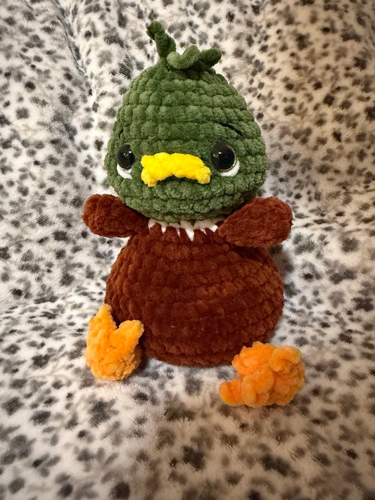 Canard 🦢