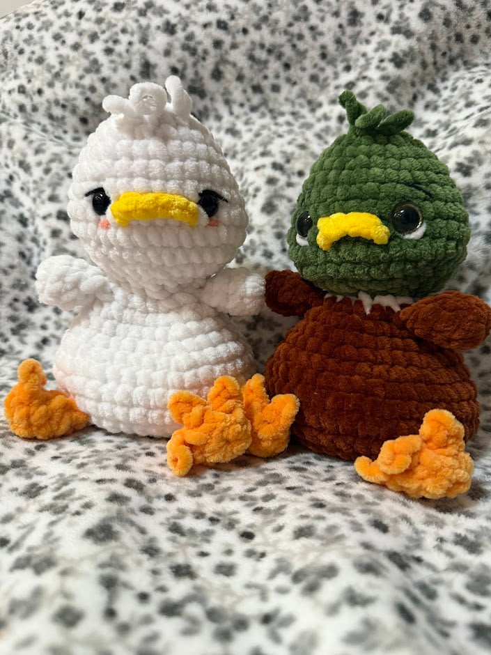 Canard 🦢