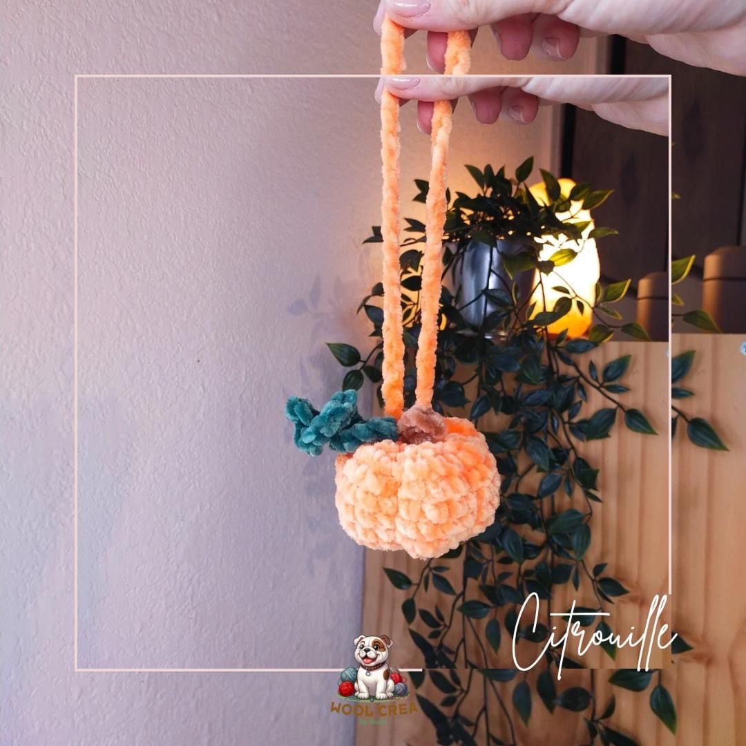 🍂 Pattern Citrouille x @woolcreabybubu 🎃