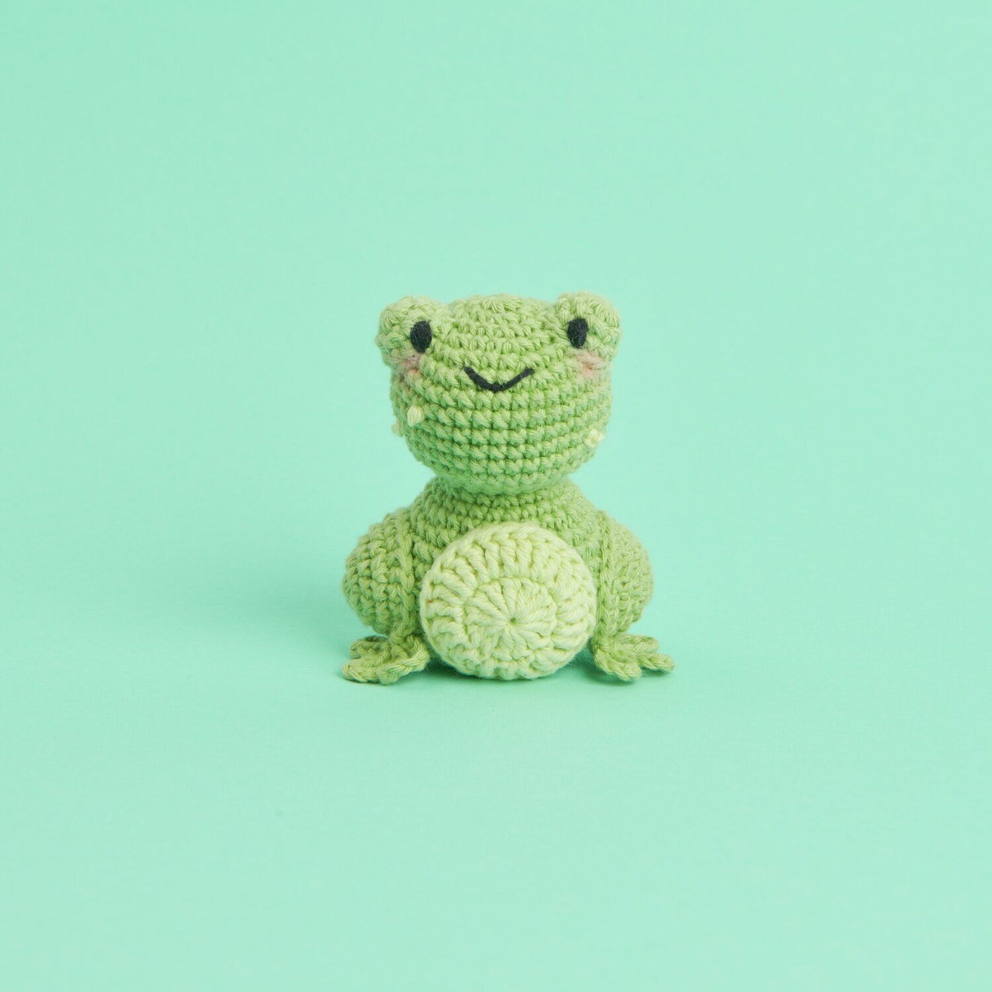 Kit de crochet Ricorumi Mini Easy - Grenouille